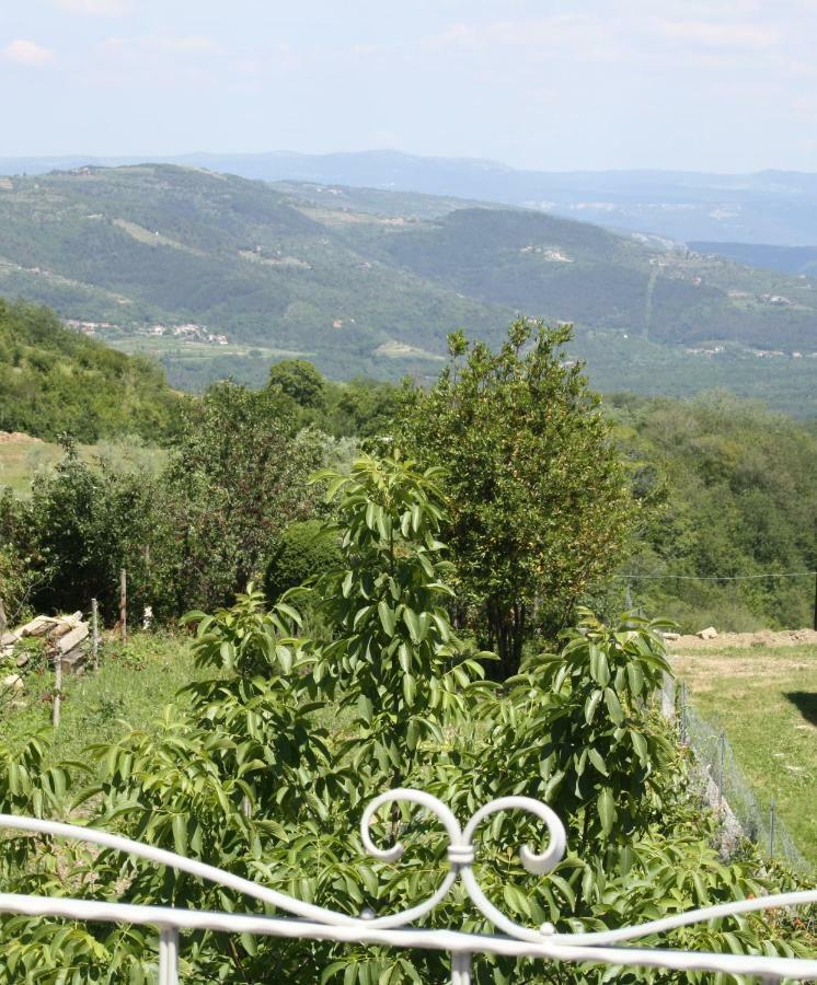 Villa Terra Mirna Vižinada Exterior foto