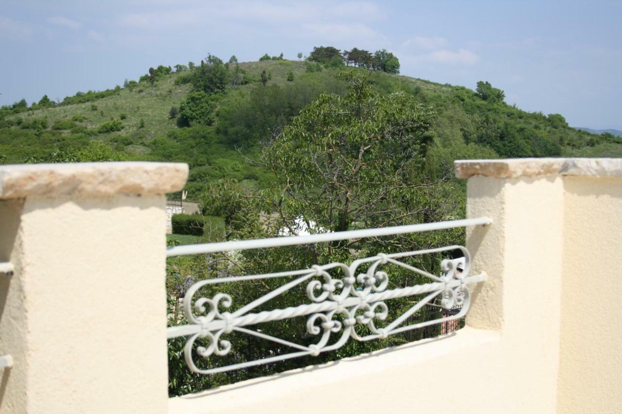 Villa Terra Mirna Vižinada Exterior foto
